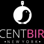 makeup subscription boxes; beauty box subscription; beauty boxes