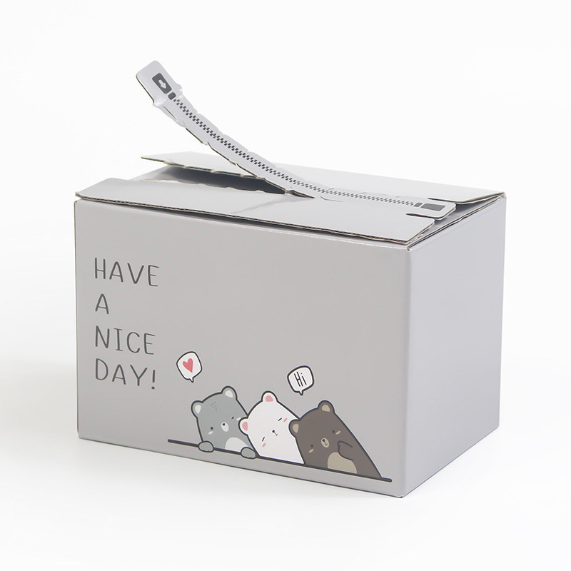 Zip Open Cardboard Carton Box for Premium E-Commerce Distribution