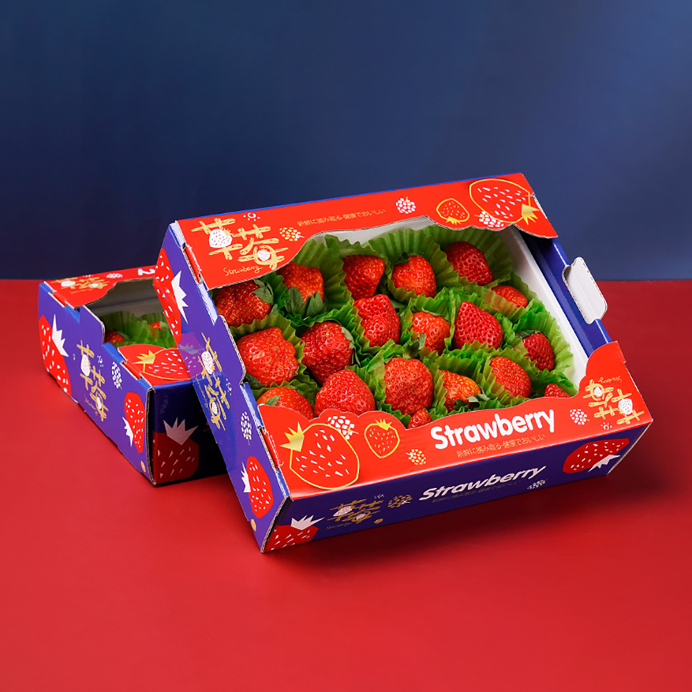 Premium Corrugated Fruit Carton for Safe Bulk Produce Shipping