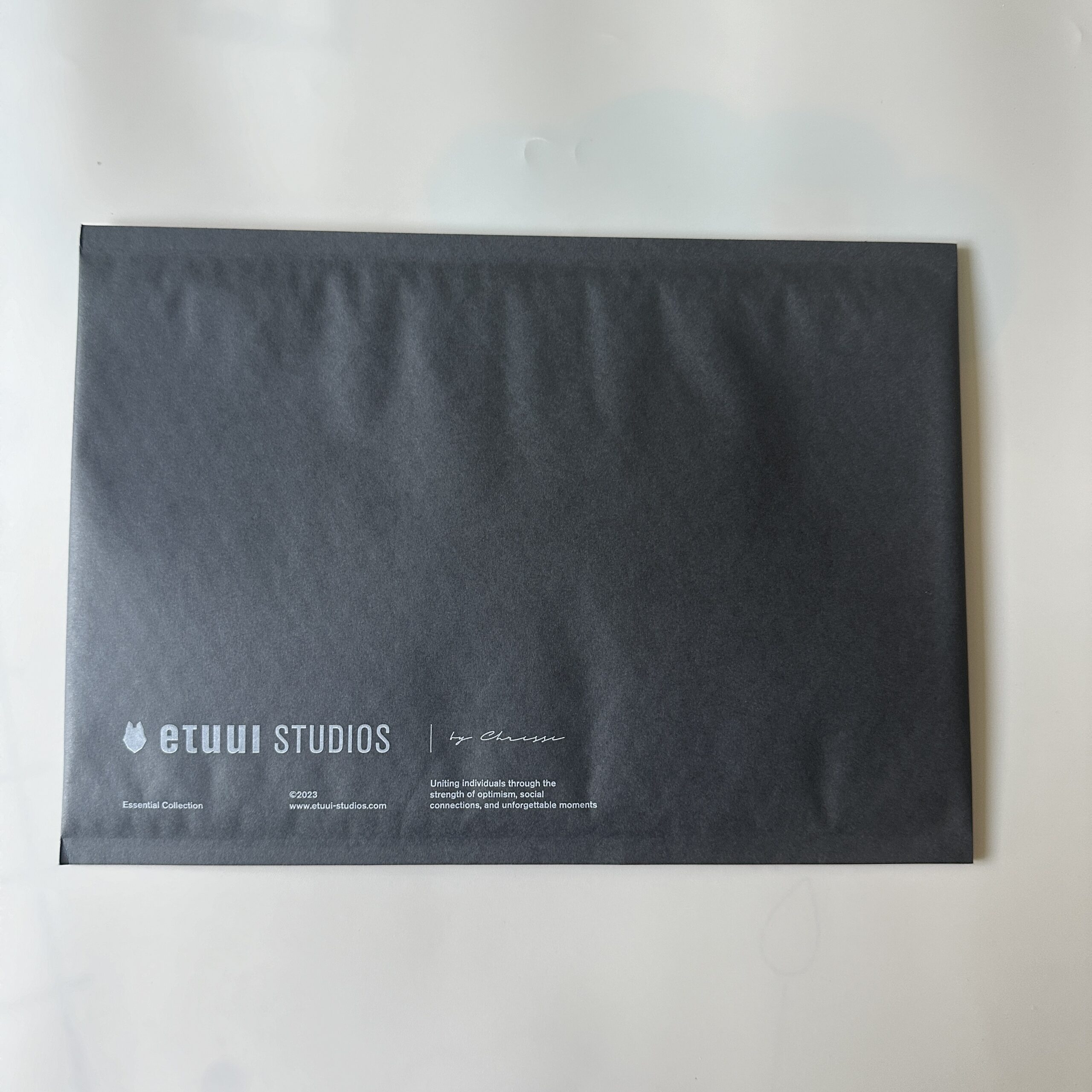 Biodegradable Bubble Mailers in Matte Black for Elegant Eco Commerce