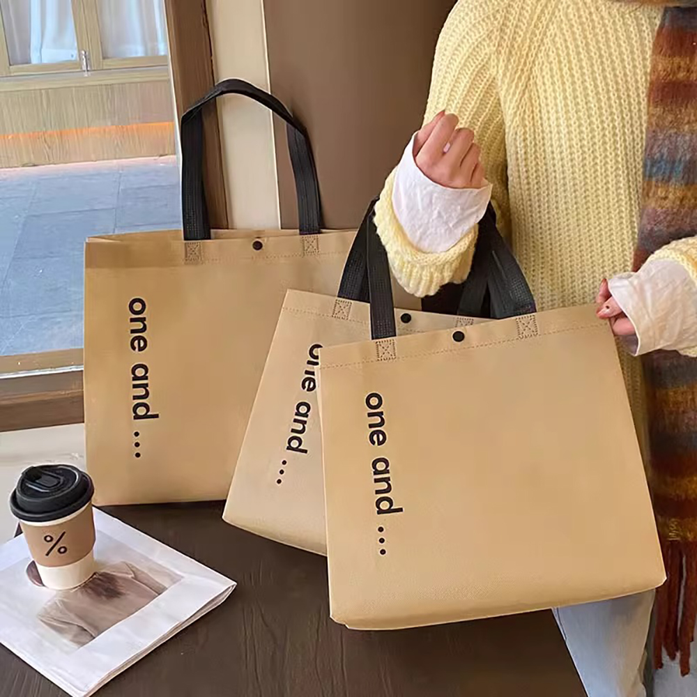 Eco Friendly Non Woven Carry Bag Wholesale Selection for Retail