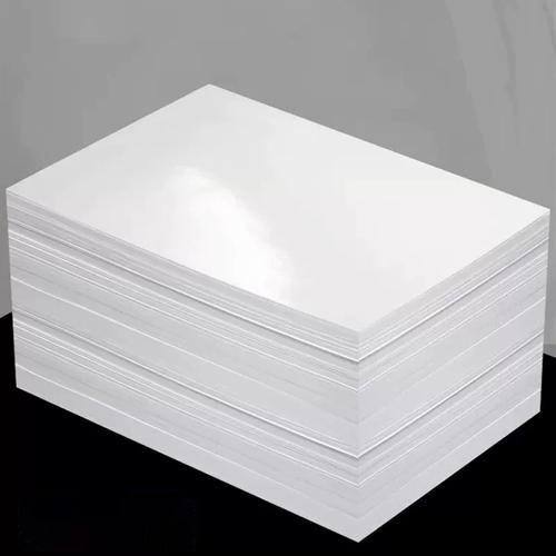 Coated Paper (C1S & C2S)