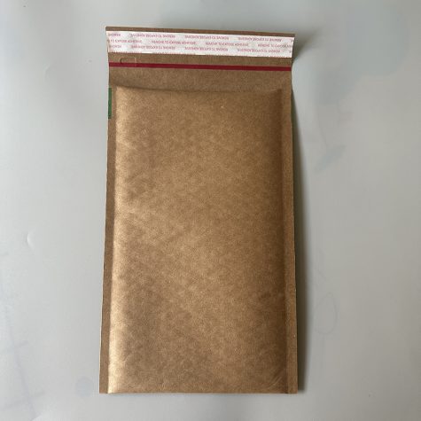 small-kraft-padded-mailing-envelope-adhesive-flap