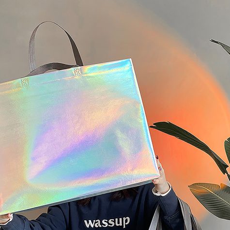 two-sizes-holographic-non-woven-fashion-carriers